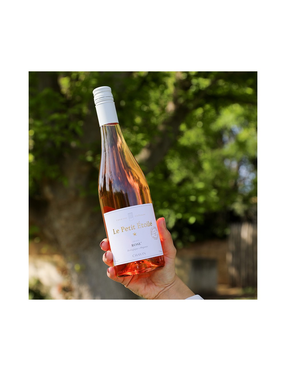 Le Petit Étoilé Rosé bio sans alcool verre à pied