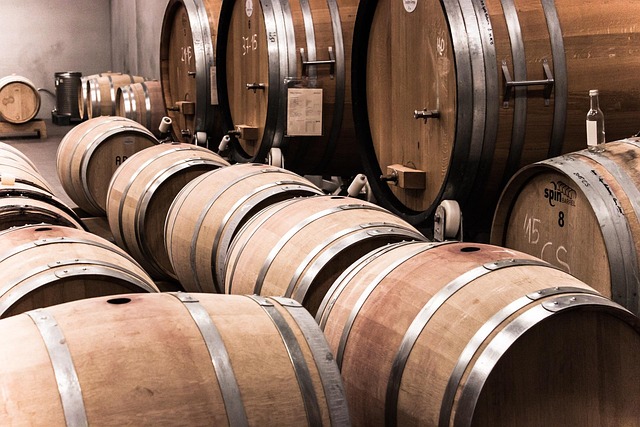 cave à vin