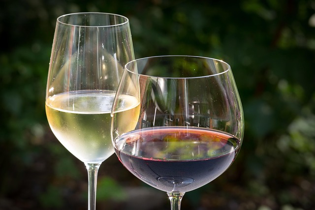 différents profils de boissons et vins désalcoolisés rouges et blancs