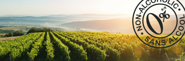 Les 2 techniques pour élaborer des alternatives sans alcool