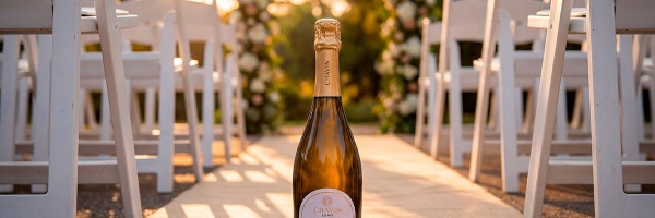 Mariage et Baby Shower : Comment proposer une alternative premium sans alcool ?
